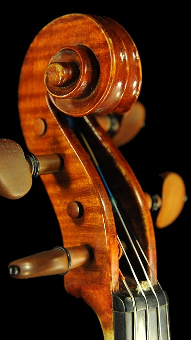 �o�C�I���� �r�W���b�L MAGICO �C�^���A