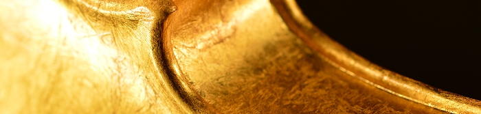 �����o�C�I���� �S�[���h