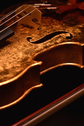 ���t�@�G�� �f�B�r�A�b�W�� �����̃o�C�I����