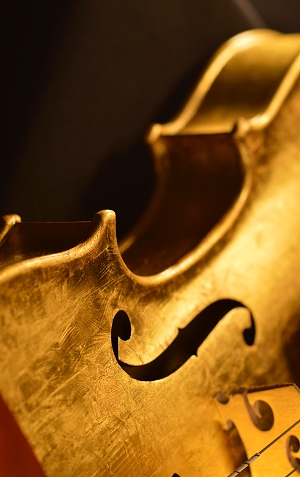 �����E�����o�C�I���� ���t�@�G�� �f�B�r�A�b�W��