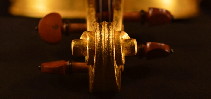 �f�B�r�A�b�W�� �����o�C�I���� �S�[���h �C�^���A