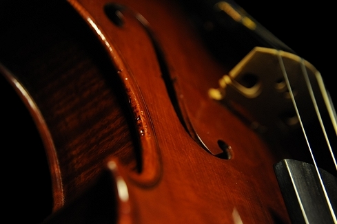 �C�^���A �r�I�����X �}�W�R