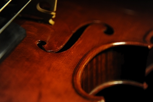 �r�I�����X �������� Piga MAGICO