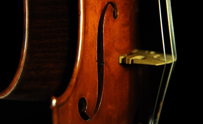 �r�I�����X �������� Piga MAGICO