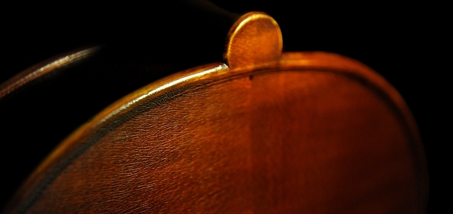 �r�I�����X �������� Piga MAGICO