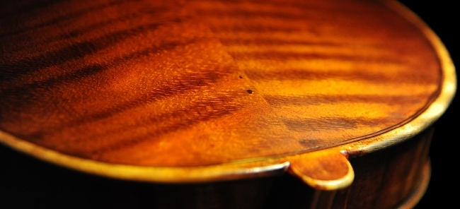 �x�� �V�F�y�V�[ �o�C�I���� �}�W�R