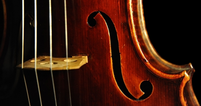 �x�� �V�F�y�V�[ �o�C�I���� �}�W�R