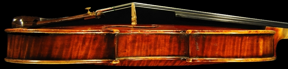 �x�� �V�F�y�V�[ �o�C�I���� �}�W�R