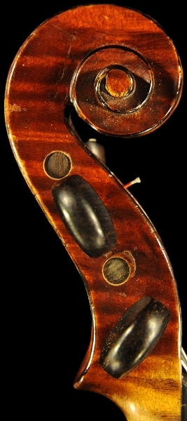 �x�� �V�F�y�V�[ �o�C�I���� �}�W�R