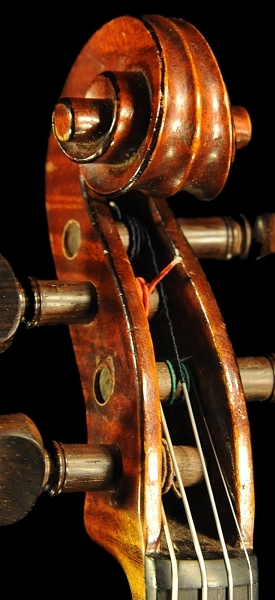 �x�� �V�F�y�V�[ �o�C�I���� �}�W�R