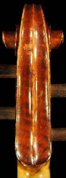 �x�� �V�F�y�V�[ �o�C�I���� �}�W�R