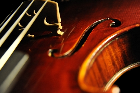 �x�� �V�F�y�V�[ �o�C�I���� �}�W�R