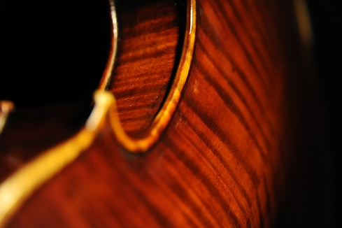 �x�� �V�F�y�V�[ �o�C�I���� �}�W�R