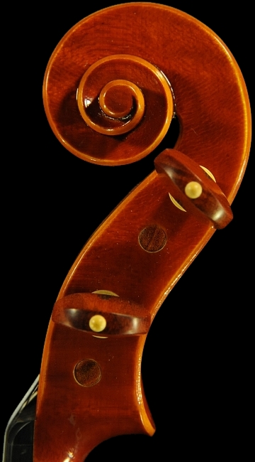 �r�\���b�e�B �o�C�I���� MAGICO ITALY