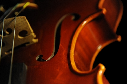 �r�\���b�e�B �o�C�I���� MAGICO ITALY