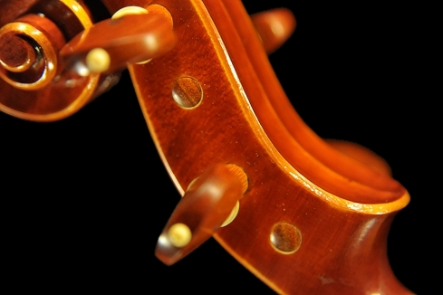 Bissolotti Violin �}�W�R �C�^���A