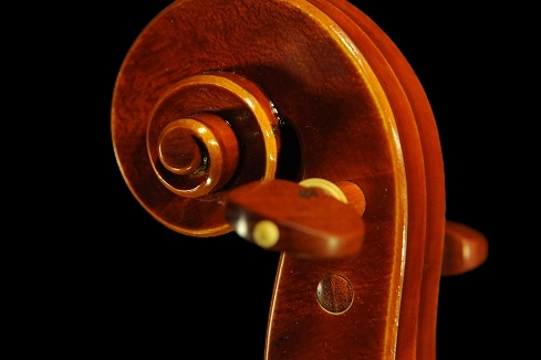 �r�\���b�e�B �o�C�I���� MAGICO ITALY