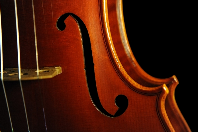Bissolotti Violin �}�W�R �C�^���A