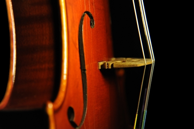 �r�\���b�e�B �o�C�I���� MAGICO ITALY