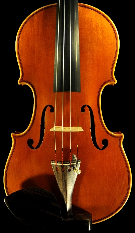 �o�C�I���� �C�^���A �f�B�r�A�b�W�� �H�[