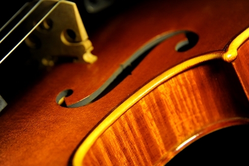 �o�C�I���� �C�^���A �}�W�R �H�[