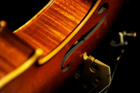 �}�W�R �C�^���A �o�C�I����