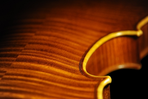 �C�^���A Violin �}�W�R><br><br>
<img src=