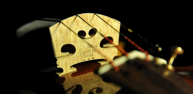 �}�W�R �o�C�I���� �C�^���A