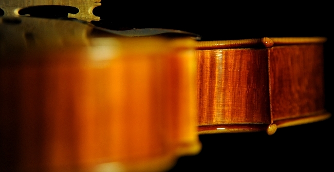 �C�^���A Violin �}�W�R><br><br>
<img src=