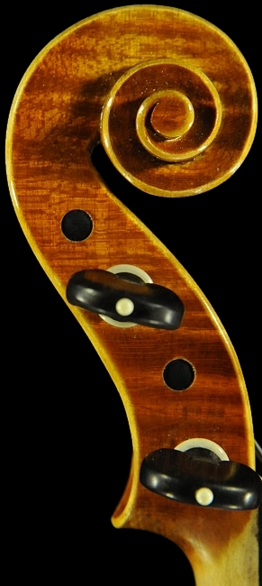 �o�C�I���� �C�^���A �f�B�r�A�b�W�� �H�[