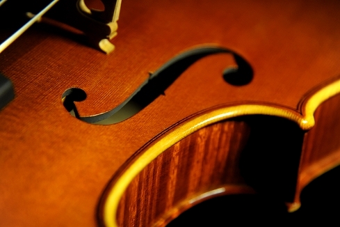 �}�W�R �o�C�I���� �C�^���A