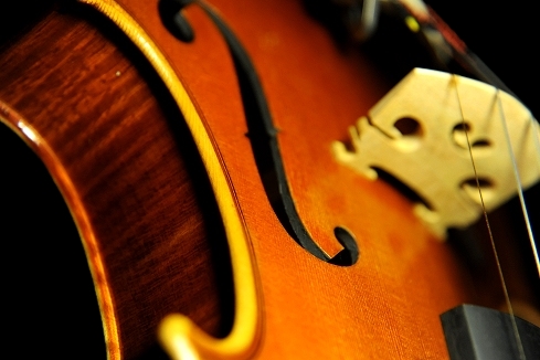 イタリア Violin マジコ><br><br>
<img src=