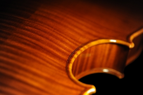 �}�W�R �C�^���A �o�C�I����