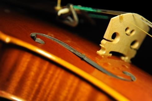 �o�C�I���� �C�^���A �}�W�R �H�[