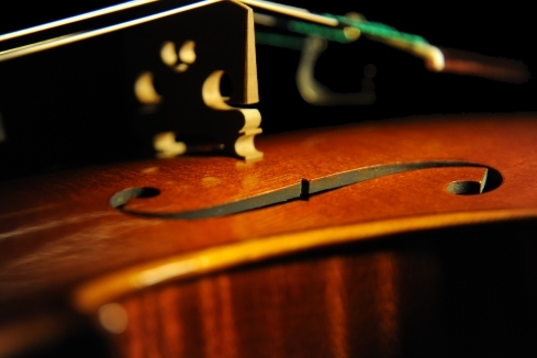 �}�W�R �C�^���A �o�C�I����