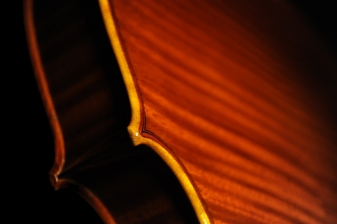 �}�W�R �o�C�I���� �C�^���A