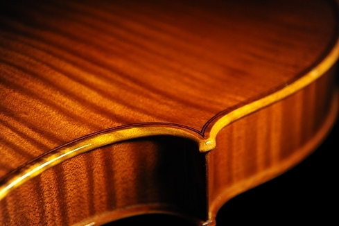 �C�^���A Violin �}�W�R><br><br>
<img src=