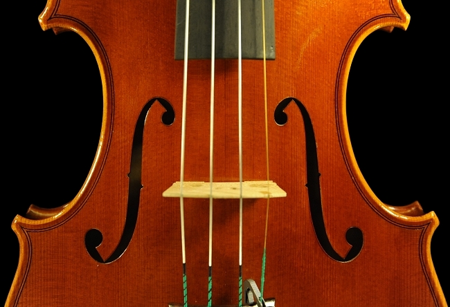 �}�W�R �C�^���A �o�C�I����