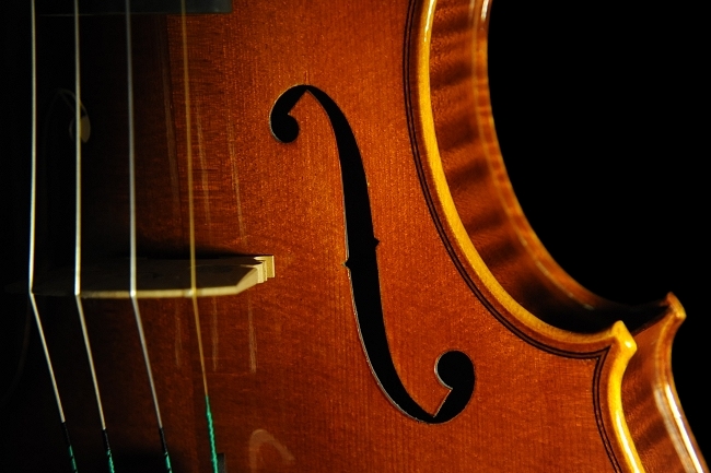 �}�W�R �C�^���A �o�C�I����