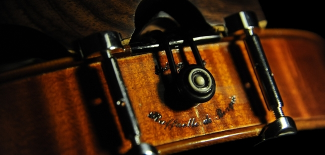 �o�C�I���� �C�^���A �}�W�R �H�[