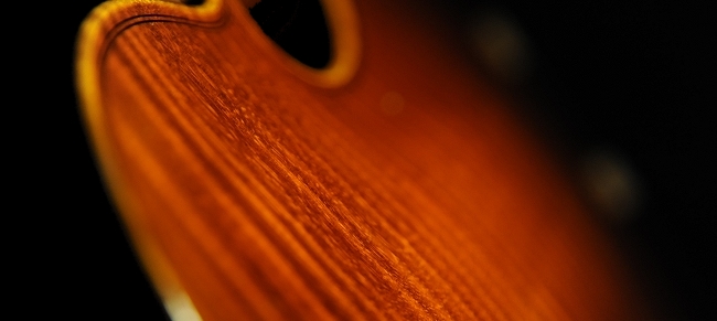 �}�W�R �C�^���A �o�C�I����