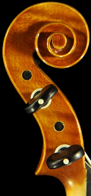 �}�W�R �o�C�I���� �C�^���A �f�B�r�A�b�W�� �H�[