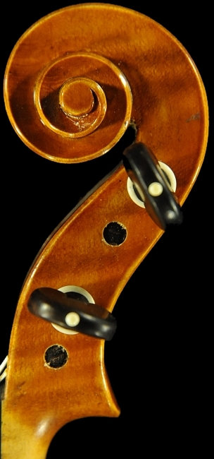 �C�^���A �o�C�I���� �f�B�r�A�b�W�� �}�W�R LABO