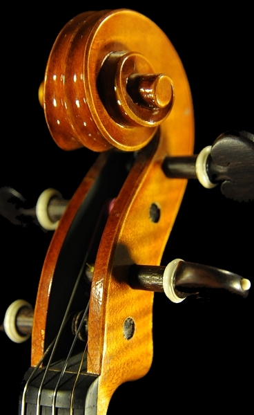 �o�C�I���� �C�^���A �f�B�r�A�b�W�� �}�W�R �H�[