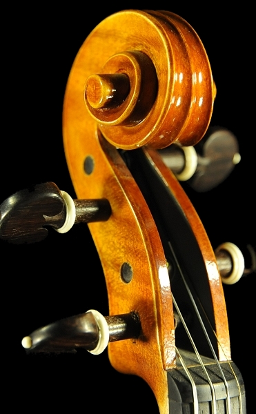 �}�W�R �C�^���A �o�C�I���� �f�B�r�A�b�W�� LABO