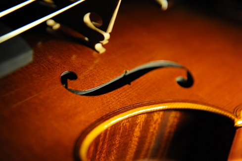 �}�W�R �o�C�I���� �C�^���A