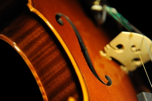 �C�^���A Violin �}�W�R><br><br>
<img src=