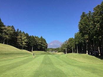 �o�C�I���� �S���t