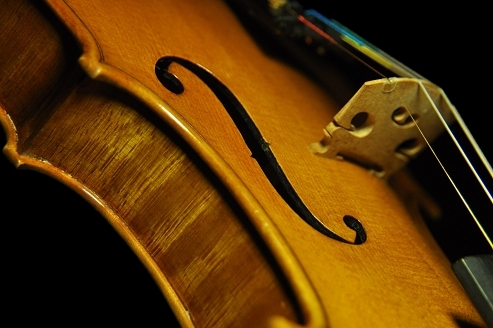 �o�C�I���� �}�W�R ���F�b�g�[�� �C�^���A