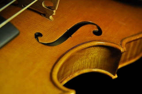 Polo Vettori MAGICO Violin �C�^���A